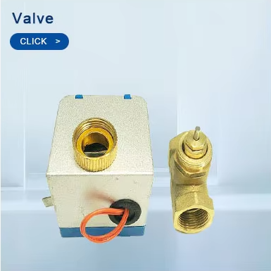 Valve